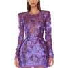 Embroidered Long Sleeve Round Neck Mini Dress